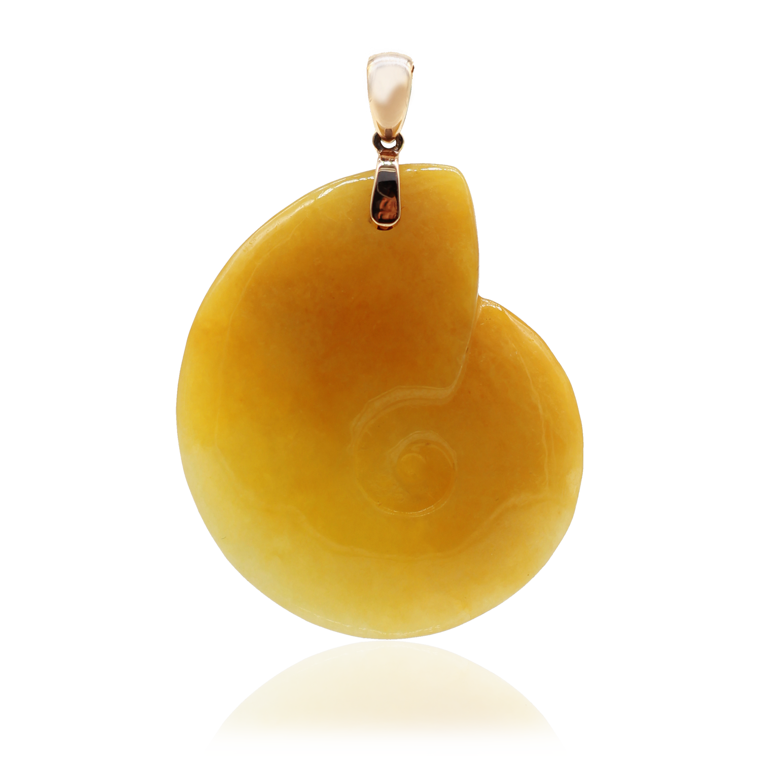 Ammonite-Yellow-w-Reflection-SQ